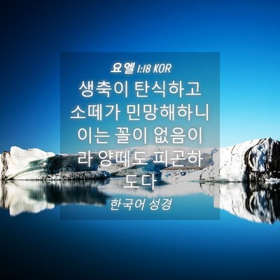 Picture 04 - 요엘 1:18 KOR - 생축이 탄식하고 소떼가 민망해하니 - Bible Verse Picture