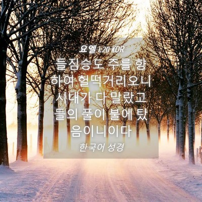 Picture 04 - 요엘 1:20 KOR - 들짐승도 주를 향하여 헐떡거리오니 - Bible Verse Picture