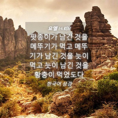 Picture 04 - 요엘 1:4 KOR - 팟종이가 남긴 것을 메뚜기가 먹고 - Bible Verse Picture