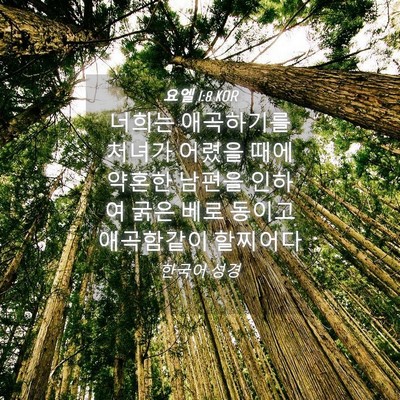 Picture 04 - 요엘 1:8 KOR - 너희는 애곡하기를 처녀가 어렸을 - Bible Verse Picture