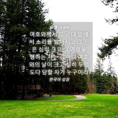 Picture 04 - 요엘 2:11 KOR - 여호와께서 그 군대 앞에서 소리를 - Bible Verse Picture