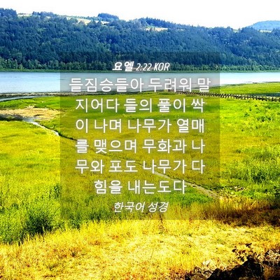 Picture 04 - 요엘 2:22 KOR - 들짐승들아 두려워 말지어다 들의 - Bible Verse Picture