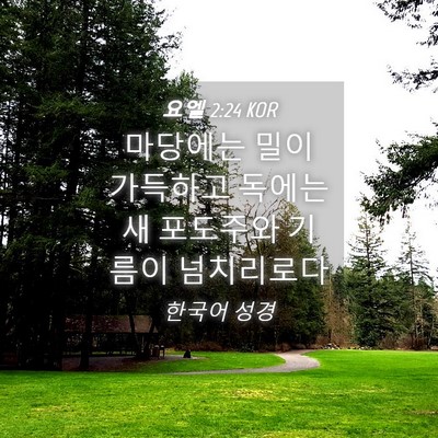 Picture 04 - 요엘 2:24 KOR - 마당에는 밀이 가득하고 독에는 새 - Bible Verse Picture