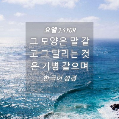 Picture 04 - 요엘 2:4 KOR - 그 모양은 말 같고 그 달리는 것은 - Bible Verse Picture