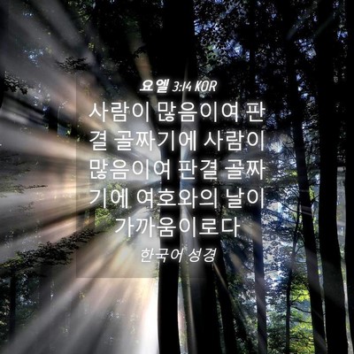 Picture 04 - 요엘 3:14 KOR - 사람이 많음이여 판결 골짜기에 - Bible Verse Picture