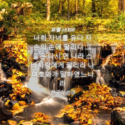 Picture 04 - 요엘 3:8 KOR - 너희 자녀를 유다 자손의 손에 - Bible Verse Picture