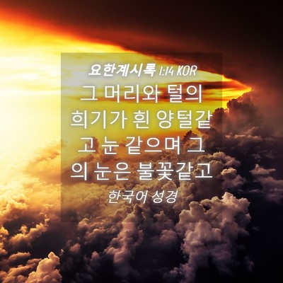 Picture 04 - 요한계시록 1:14 KOR - 그 머리와 털의 희기가 흰 양털같고 - Bible Verse Picture