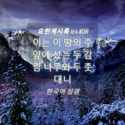 Picture 04 - 요한계시록 11:4 KOR - 이는 이 땅의 주 앞에 섰는 두 감람 - Bible Verse Picture