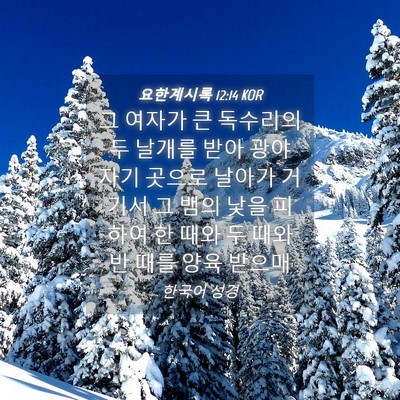Picture 04 - 요한계시록 12:14 KOR - 그 여자가 큰 독수리의 두 날개를 - Bible Verse Picture