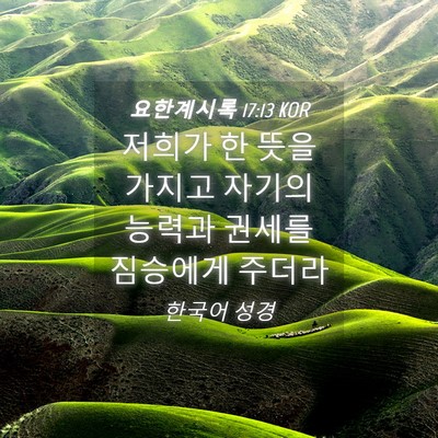 Picture 04 - 요한계시록 17:13 KOR - 저희가 한 뜻을 가지고 자기의 - Bible Verse Picture