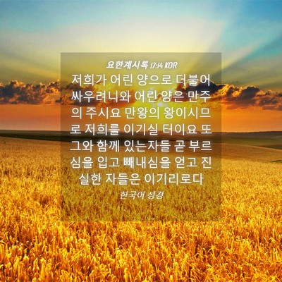 Picture 04 - 요한계시록 17:14 KOR - 저희가 어린 양으로 더불어 - Bible Verse Picture