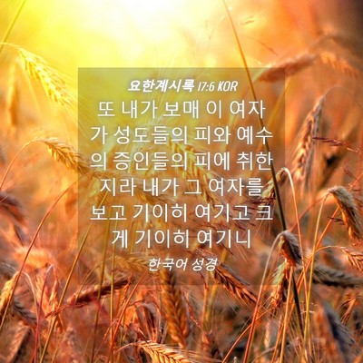Picture 04 - 요한계시록 17:6 KOR - 또 내가 보매 이 여자가 성도들의 - Bible Verse Picture