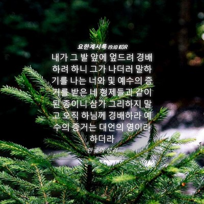 Picture 04 - 요한계시록 19:10 KOR - 내가 그 발 앞에 엎드려 경배하려 - Bible Verse Picture