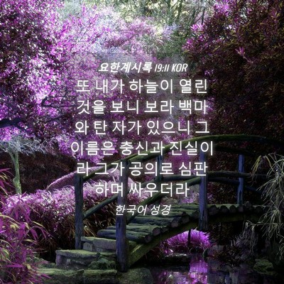 Picture 04 - 요한계시록 19:11 KOR - 또 내가 하늘이 열린 것을 보니 보라 - Bible Verse Picture