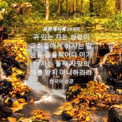 Picture 04 - 요한계시록 2:11 KOR - 귀 있는 자는 성령이 교회들에게 - Bible Verse Picture