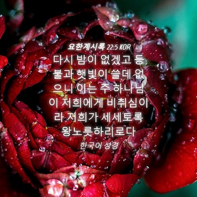Picture 04 - 요한계시록 22:5 KOR - 다시 밤이 없겠고 등불과 햇빛이 - Bible Verse Picture