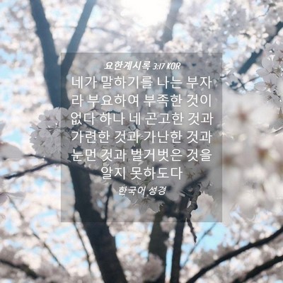 Picture 04 - 요한계시록 3:17 KOR - 네가 말하기를 나는 부자라 부요하여 - Bible Verse Picture
