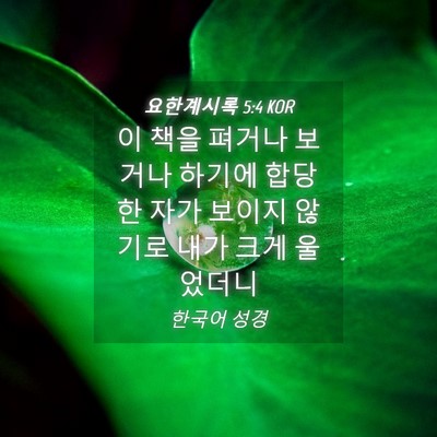 Picture 04 - 요한계시록 5:4 KOR - 이 책을 펴거나 보거나 하기에 - Bible Verse Picture