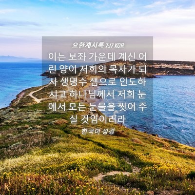 Picture 04 - 요한계시록 7:17 KOR - 이는 보좌 가운데 계신 어린 양이 - Bible Verse Picture