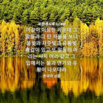 Picture 04 - 요한계시록 9:17 KOR - 이같이 이상한 가운데 그 말들과 그 - Bible Verse Picture