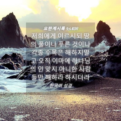 Picture 04 - 요한계시록 9:4 KOR - 저희에게 이르시되 땅의 풀이나 푸른 - Bible Verse Picture