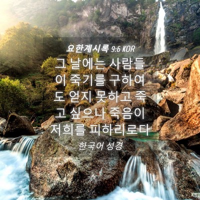 Picture 04 - 요한계시록 9:6 KOR - 그 날에는 사람들이 죽기를 구하여도 - Bible Verse Picture