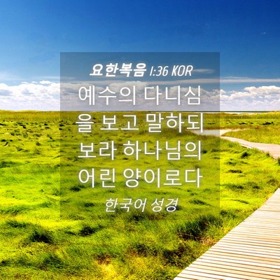 Picture 04 - 요한복음 1:36 KOR - 예수의 다니심을 보고 말하되 보라 - Bible Verse Picture