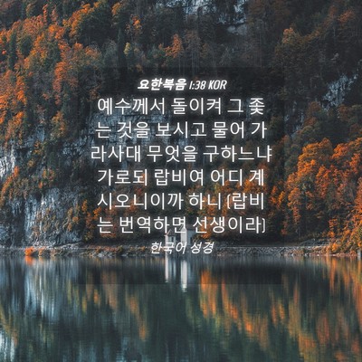 Picture 04 - 요한복음 1:38 KOR - 예수께서 돌이켜 그 좇는 것을 - Bible Verse Picture