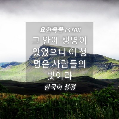 Picture 04 - 요한복음 1:4 KOR - 그 안에 생명이 있었으니 이 생명은 - Bible Verse Picture