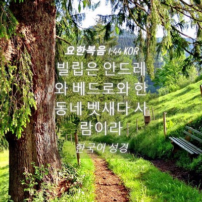 Picture 04 - 요한복음 1:44 KOR - 빌립은 안드레와 베드로와 한 동네 - Bible Verse Picture