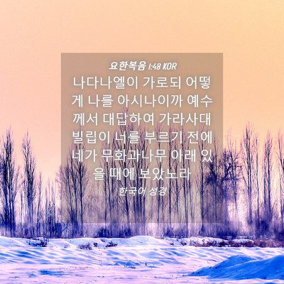 Picture 04 - 요한복음 1:48 KOR - 나다나엘이 가로되 어떻게 나를 - Bible Verse Picture