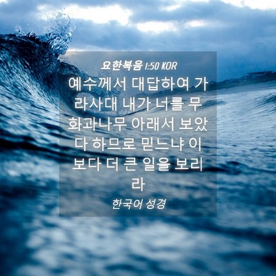 Picture 04 - 요한복음 1:50 KOR - 예수께서 대답하여 가라사대 내가 - Bible Verse Picture