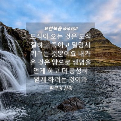 Picture 04 - 요한복음 10:10 KOR - 도적이 오는 것은 도적질하고 죽이고 - Bible Verse Picture