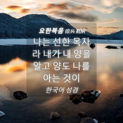 Picture 04 - 요한복음 10:14 KOR - 나는 선한 목자라 내가 내 양을 알고 - Bible Verse Picture