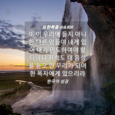 Picture 04 - 요한복음 10:16 KOR - 또 이 우리에 들지 아니한 다른 - Bible Verse Picture