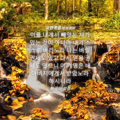 Picture 04 - 요한복음 10:18 KOR - 이를 내게서 빼앗는 자가 있는 것이 - Bible Verse Picture