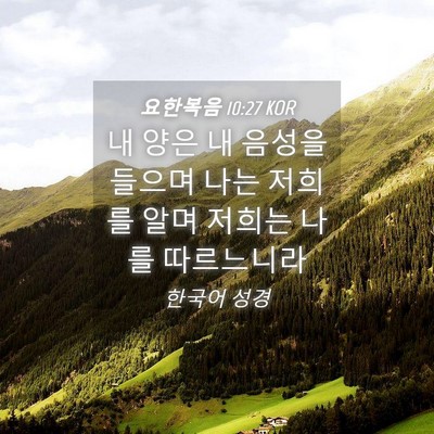 Picture 04 - 요한복음 10:27 KOR - 내 양은 내 음성을 들으며 나는 - Bible Verse Picture