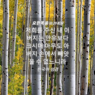 Picture 04 - 요한복음 10:29 KOR - 저희를 주신 내 아버지는 만유보다 - Bible Verse Picture