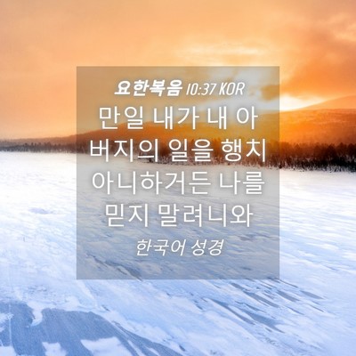 Picture 04 - 요한복음 10:37 KOR - 만일 내가 내 아버지의 일을 행치 - Bible Verse Picture