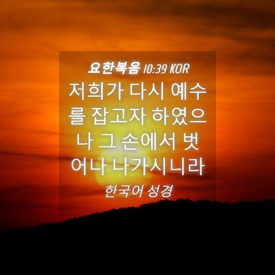 Picture 04 - 요한복음 10:39 KOR - 저희가 다시 예수를 잡고자 하였으나 - Bible Verse Picture