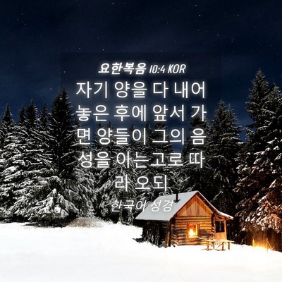 Picture 04 - 요한복음 10:4 KOR - 자기 양을 다 내어 놓은 후에 앞서 - Bible Verse Picture