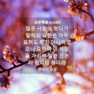 Picture 04 - 요한복음 10:41 KOR - 많은 사람이 왔다가 말하되 요한은 - Bible Verse Picture