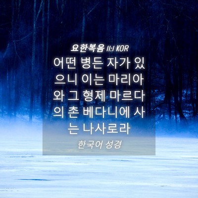 Picture 04 - 요한복음 11:1 KOR - 어떤 병든 자가 있으니 이는 - Bible Verse Picture