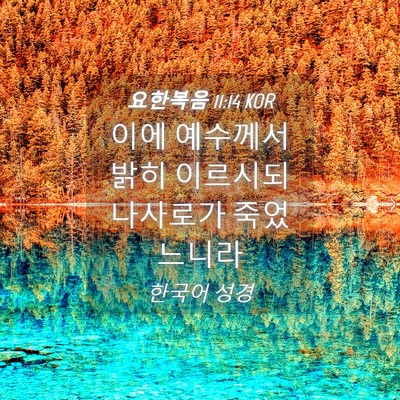 Picture 04 - 요한복음 11:14 KOR - 이에 예수께서 밝히 이르시되 - Bible Verse Picture