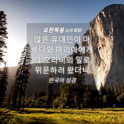 Picture 04 - 요한복음 11:19 KOR - 많은 유대인이 마르다와 마리아에게 - Bible Verse Picture