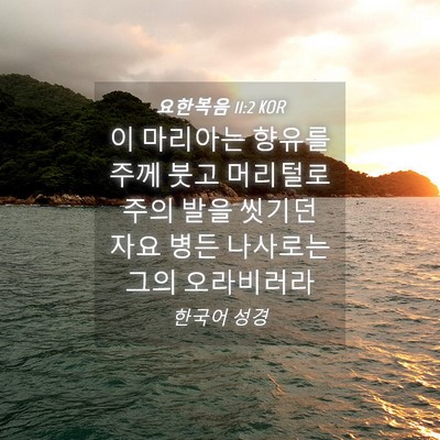 Picture 04 - 요한복음 11:2 KOR - 이 마리아는 향유를 주께 붓고 - Bible Verse Picture
