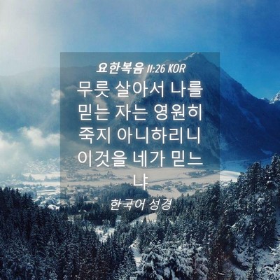 Picture 04 - 요한복음 11:26 KOR - 무릇 살아서 나를 믿는 자는 영원히 - Bible Verse Picture