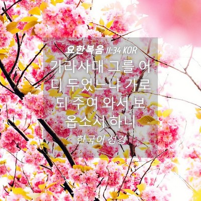 Picture 04 - 요한복음 11:34 KOR - 가라사대 그를 어디 두었느냐 가로되 - Bible Verse Picture