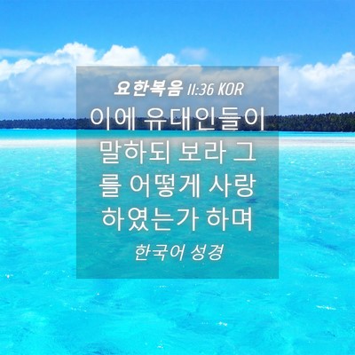 Picture 04 - 요한복음 11:36 KOR - 이에 유대인들이 말하되 보라 그를 - Bible Verse Picture
