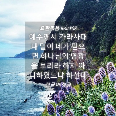 Picture 04 - 요한복음 11:40 KOR - 예수께서 가라사대 내 말이 네가 - Bible Verse Picture